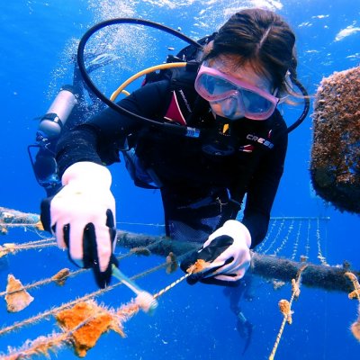 A research assistant at the ENGO Corales de Paz (Mariana Gnecco) is cleaning the rope coral nursery with a sophisticated cleaning tool, at San Andres, an island in the Colombian Caribbean. Photo: Corales de Paz.